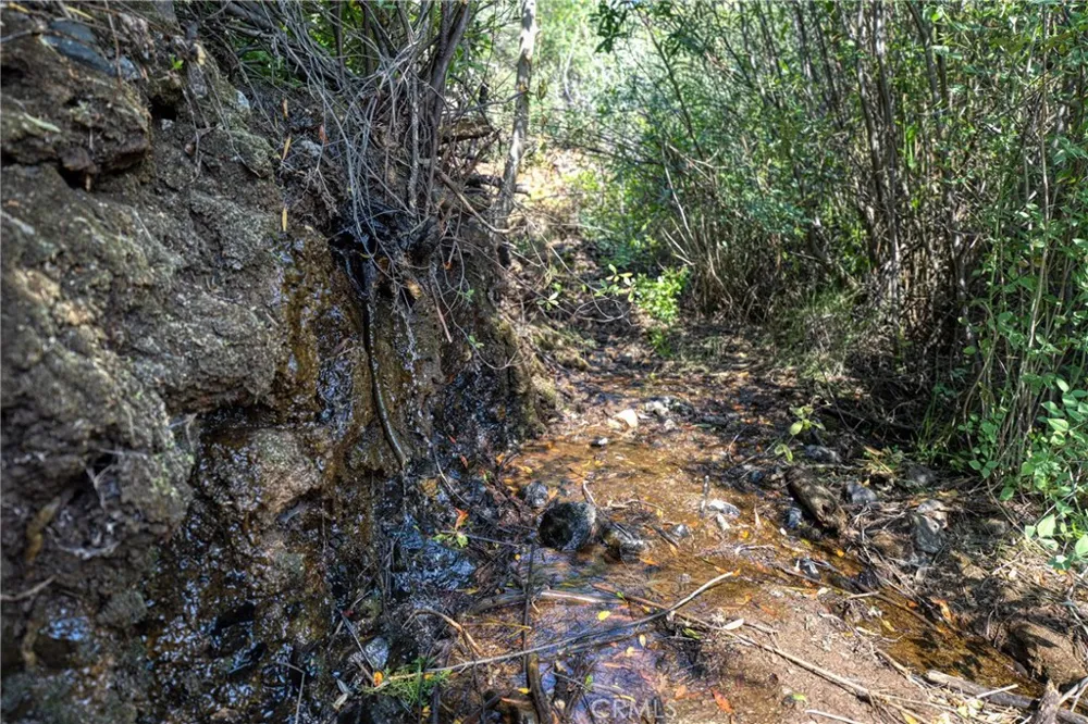 1 Butts Canyon Road Pope Valley, CA 94567