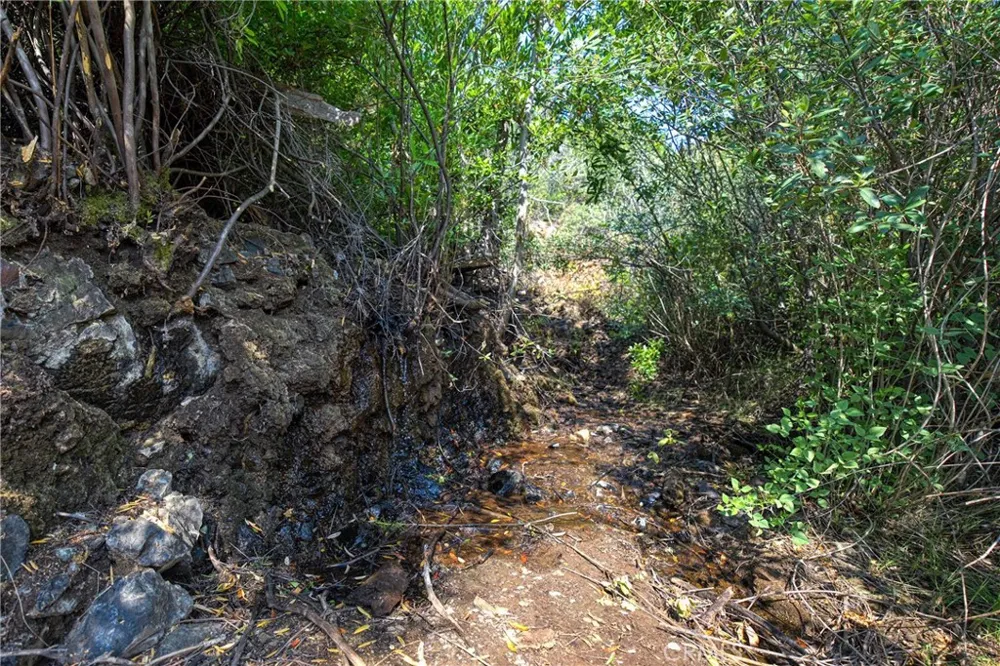1 Butts Canyon Road Pope Valley, CA 94567