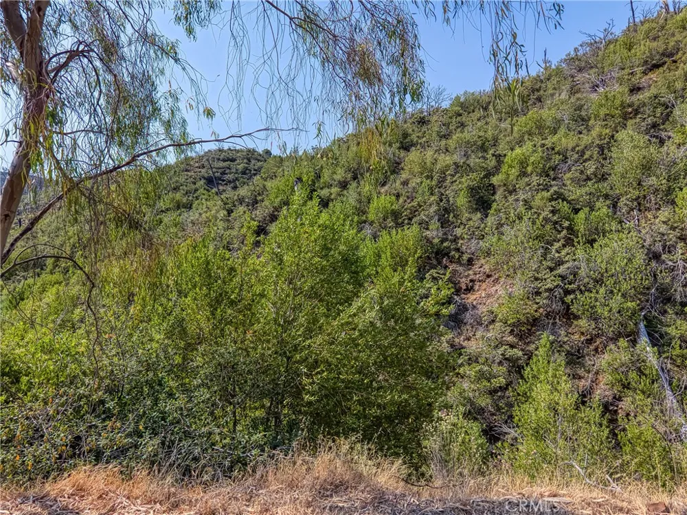 1 Butts Canyon Road Pope Valley, CA 94567