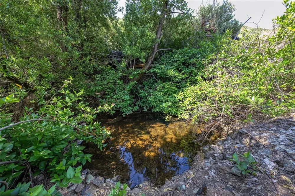 1 Butts Canyon Road Pope Valley, CA 94567