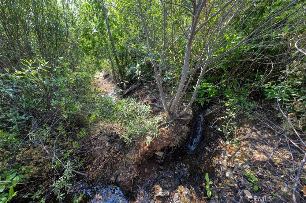 1 Butts Canyon Road Pope Valley, CA 94567