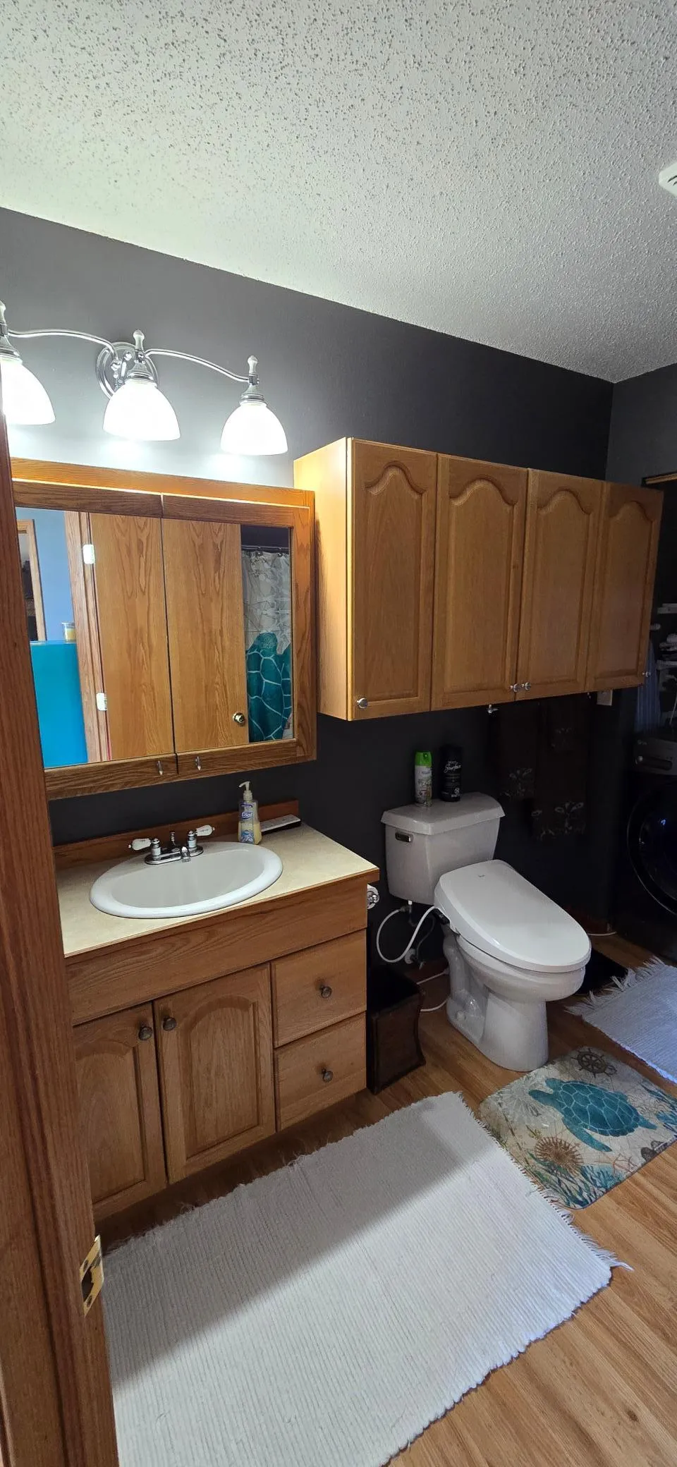 43094 E Big Mcdonald Drive Dent, MN 56528