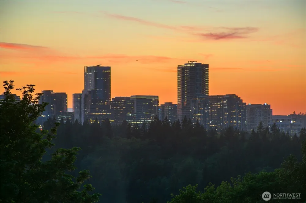 13643 SE 10th Street SE Bellevue, WA 98005