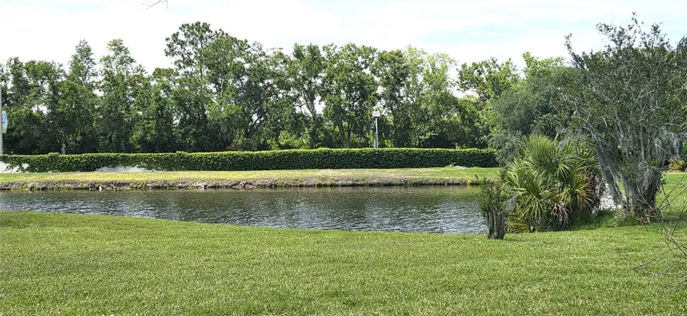 3904 HIDDEN SPRING PLACE Valrico, FL 33596