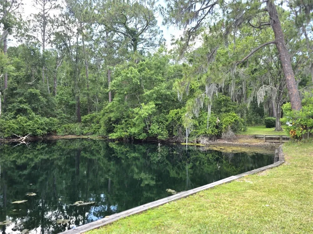 1873 MAZO MANOR #5 Lutz, FL 33558