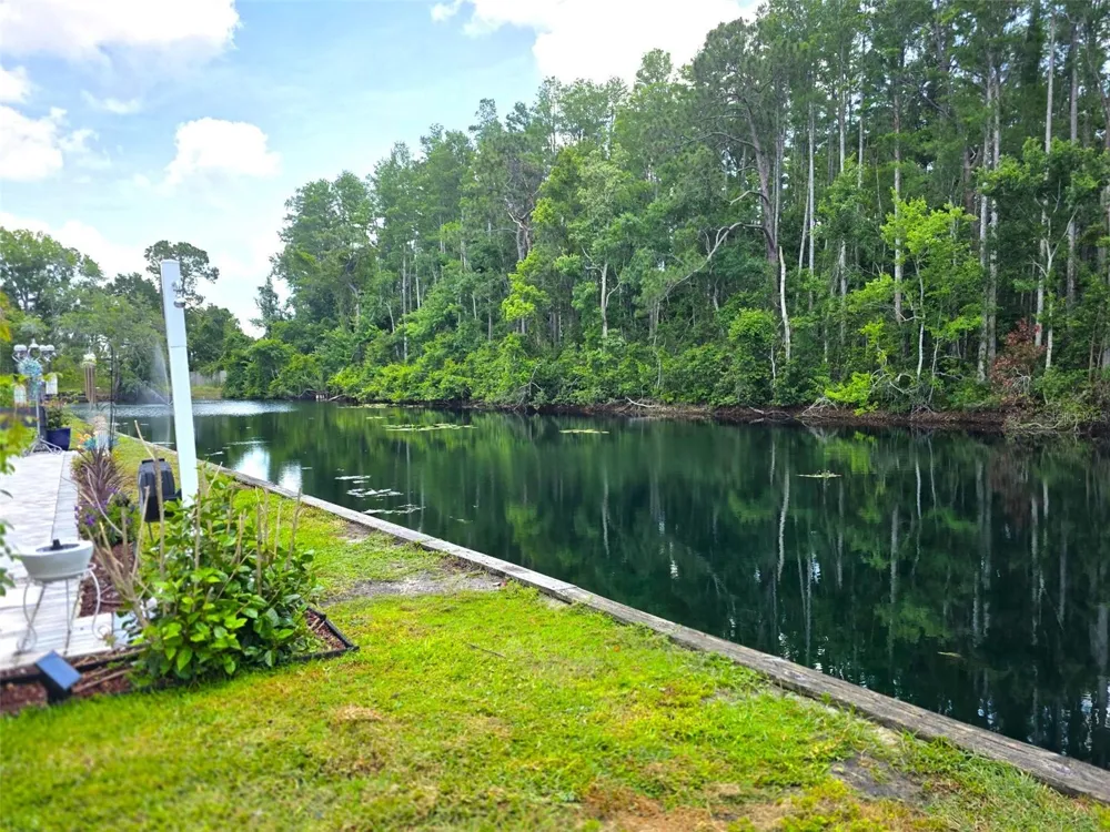 1873 MAZO MANOR #5 Lutz, FL 33558