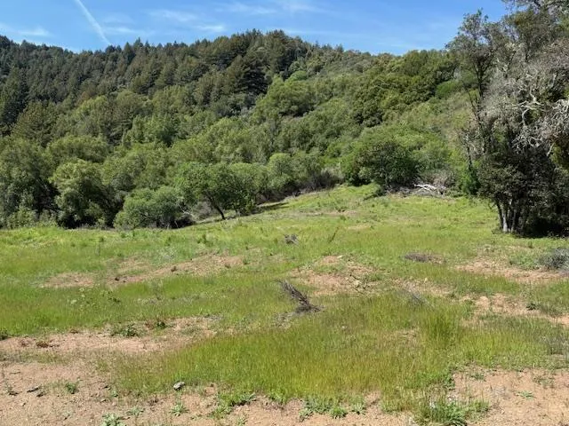 7175 Redwood Retreat Gilroy, CA 95020