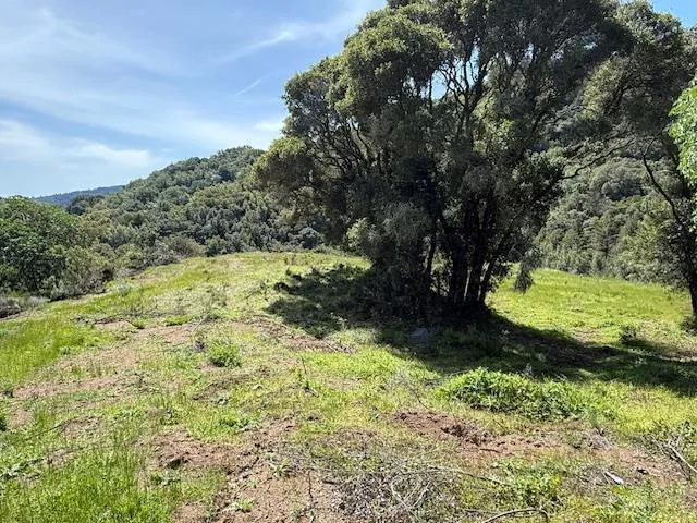 7175 Redwood Retreat Gilroy, CA 95020