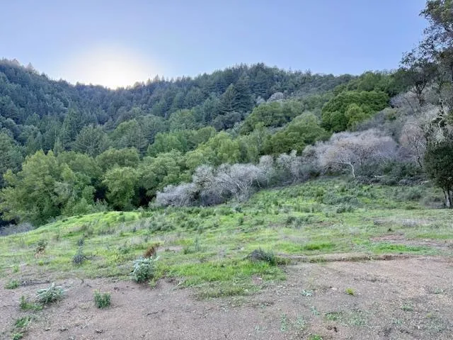 7175 Redwood Retreat Gilroy, CA 95020