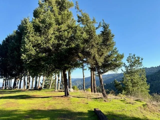 7175 Redwood Retreat Gilroy, CA 95020
