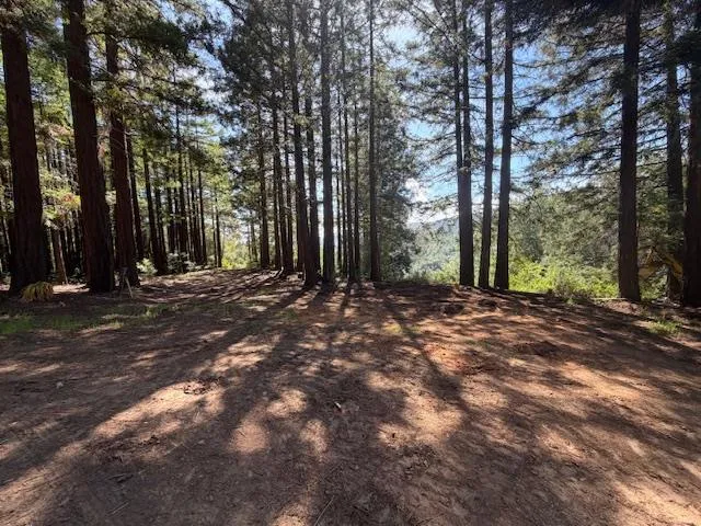 7175 Redwood Retreat Gilroy, CA 95020