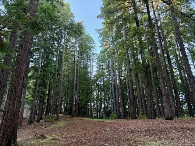 7175 Redwood Retreat Gilroy, CA 95020
