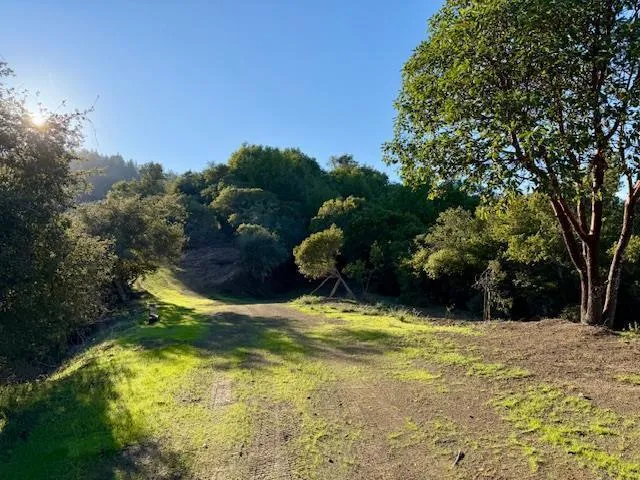 7175 Redwood Retreat Gilroy, CA 95020