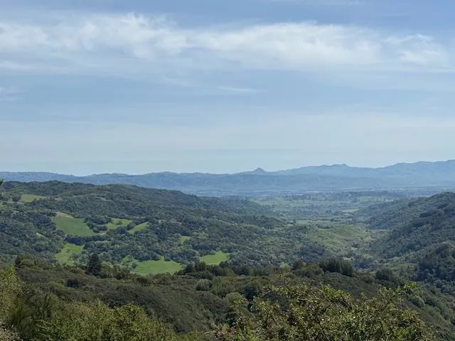 7175 Redwood Retreat Gilroy, CA 95020
