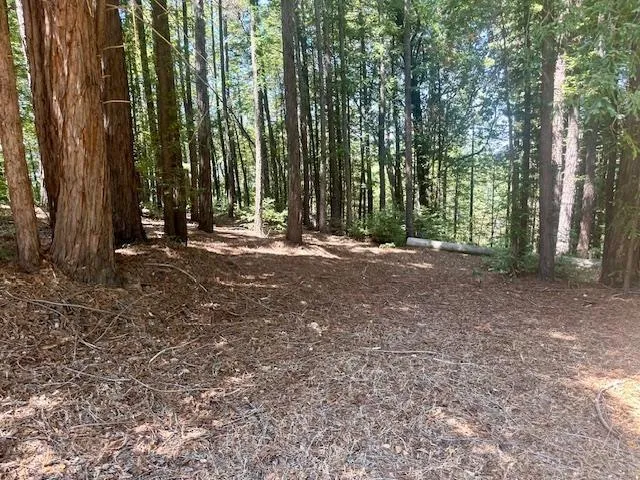 7175 Redwood Retreat Gilroy, CA 95020