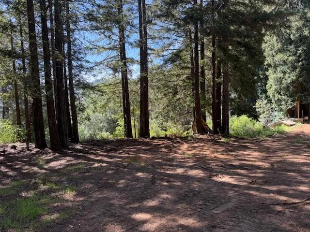 7175 Redwood Retreat Gilroy, CA 95020
