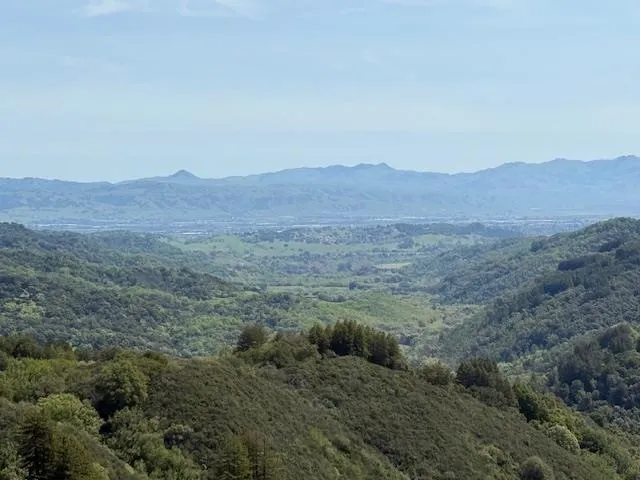 7175 Redwood Retreat Gilroy, CA 95020