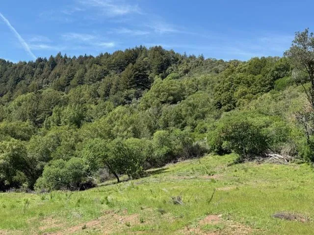 7175 Redwood Retreat Gilroy, CA 95020