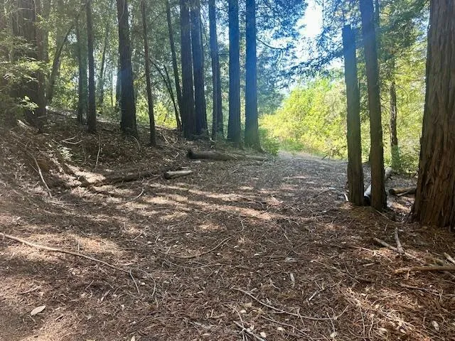 7175 Redwood Retreat Gilroy, CA 95020