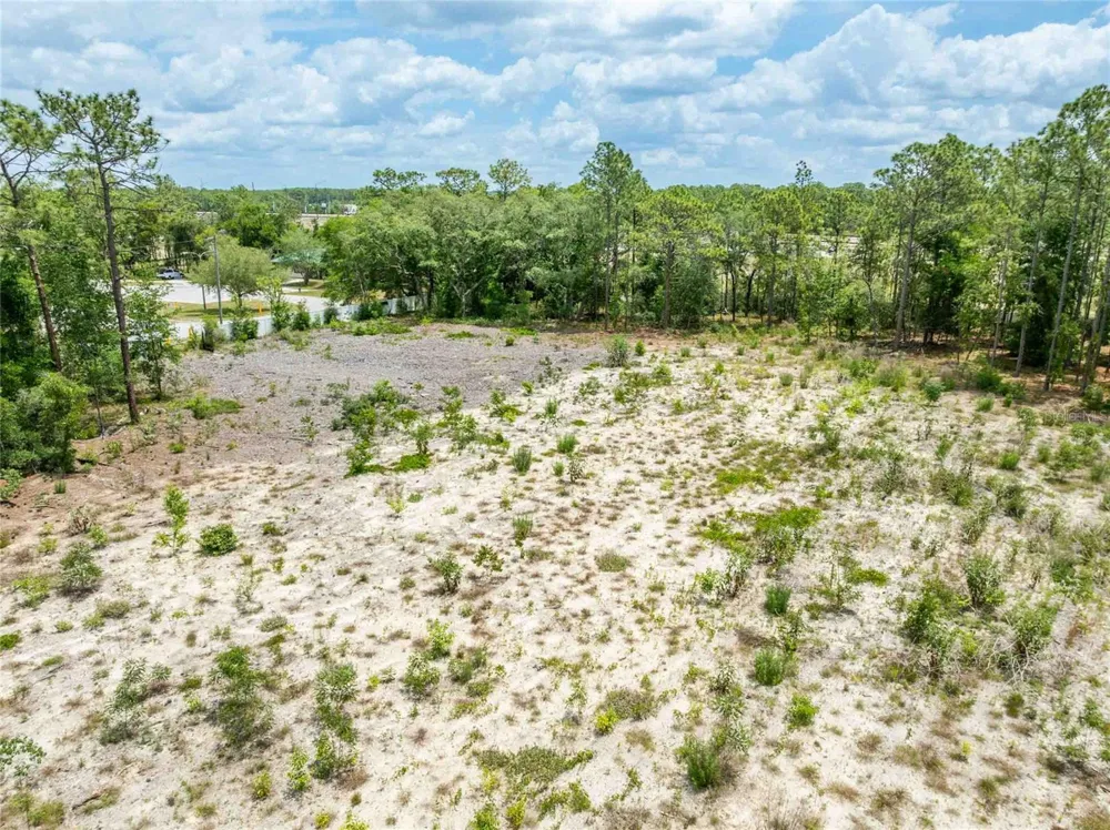 15022 GAR STREET Spring Hill, FL 34609