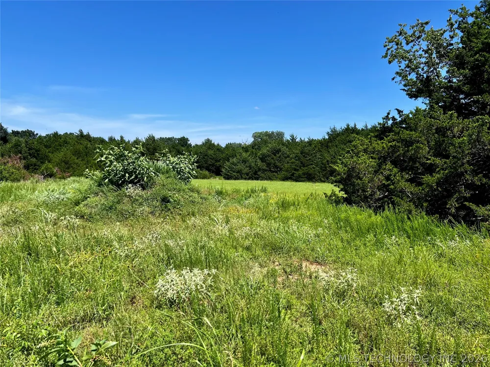 9 Dynamite Road Agra, OK 74824