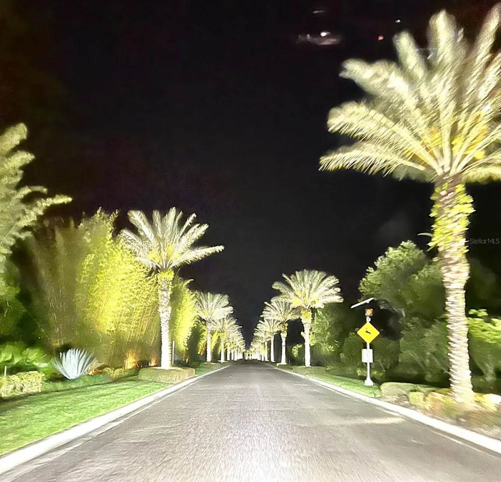 14501 GROVE RESORT AVENUE #2214 Winter Garden, FL 34787