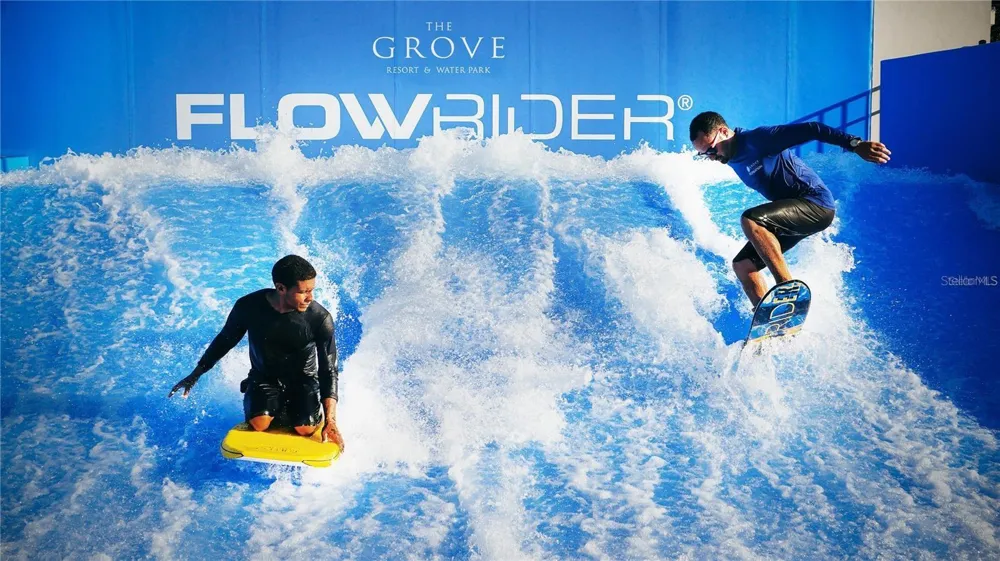 14501 GROVE RESORT AVENUE #2214 Winter Garden, FL 34787