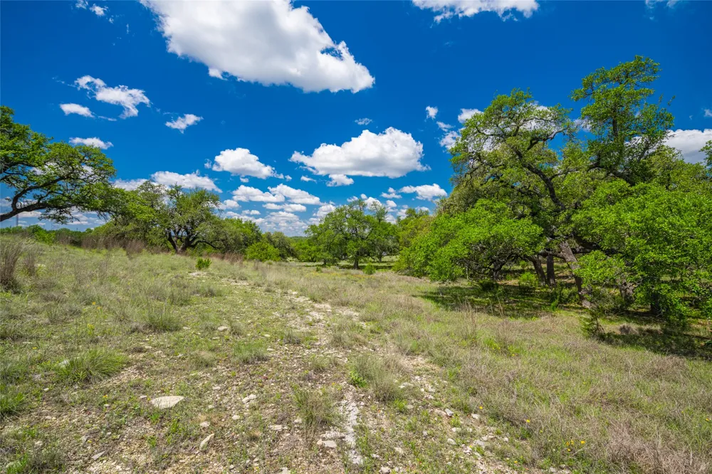262 Cuesta Pass Driftwood, TX 78619