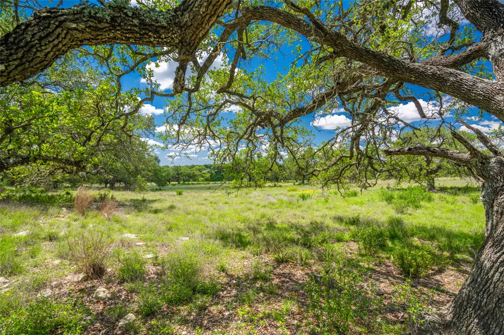 262 Cuesta Pass Driftwood, TX 78619