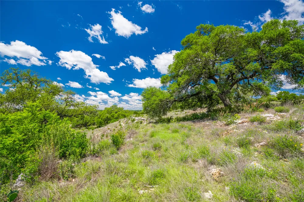262 Cuesta Pass Driftwood, TX 78619