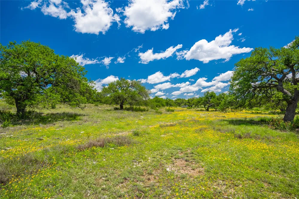 262 Cuesta Pass Driftwood, TX 78619