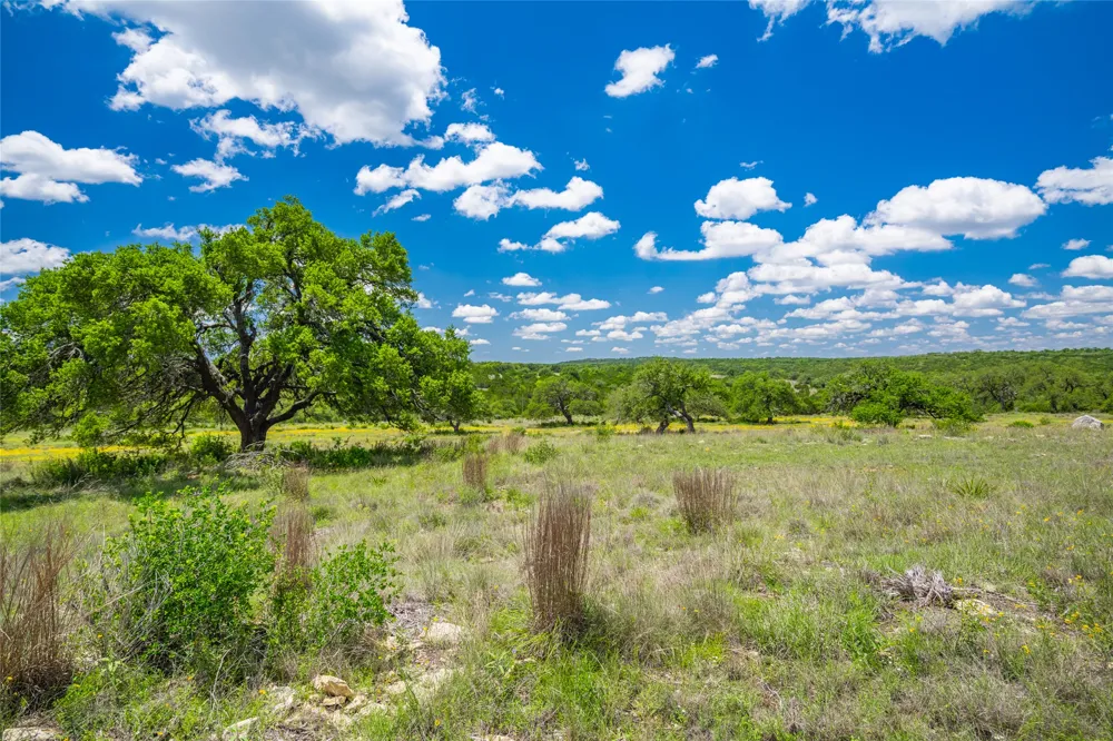 262 Cuesta Pass Driftwood, TX 78619