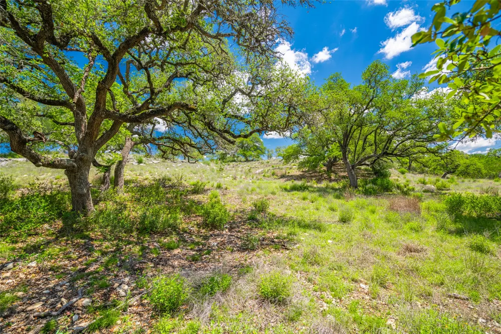 262 Cuesta Pass Driftwood, TX 78619
