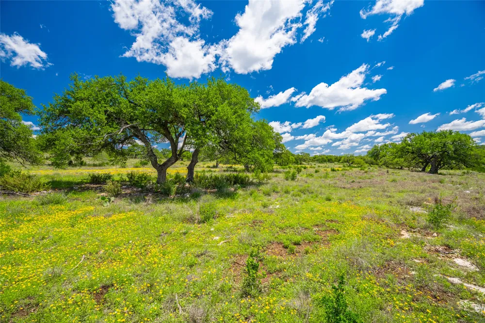 262 Cuesta Pass Driftwood, TX 78619