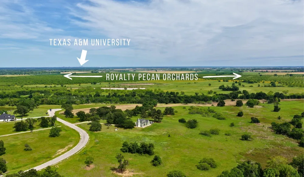 Brazos Court (6.96 Acres) Caldwell, TX 77836