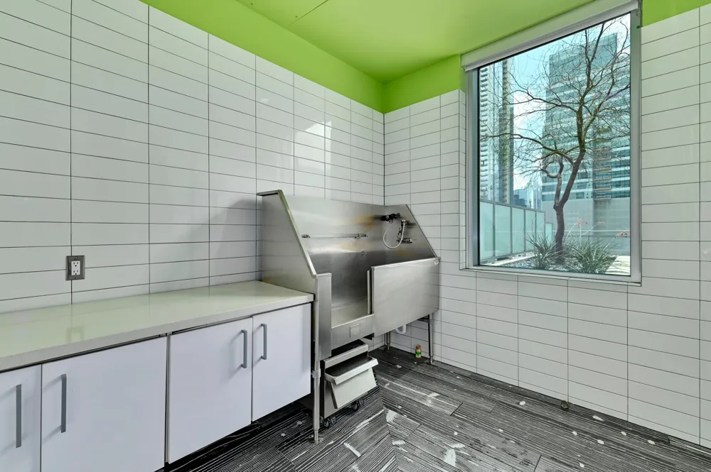 222 West Avenue #2809 Austin, TX 78701