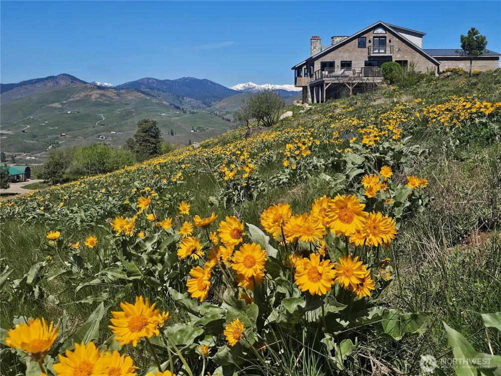 8 Deer Trails Way Winthrop, WA 98862