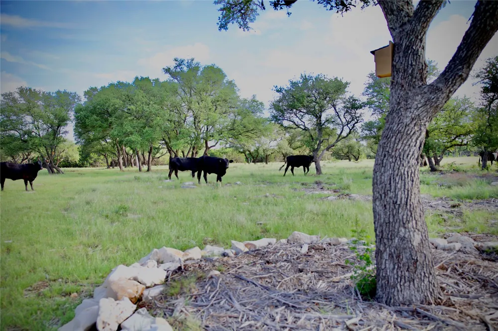 33 Starfall Drive Lampasas, TX 76550