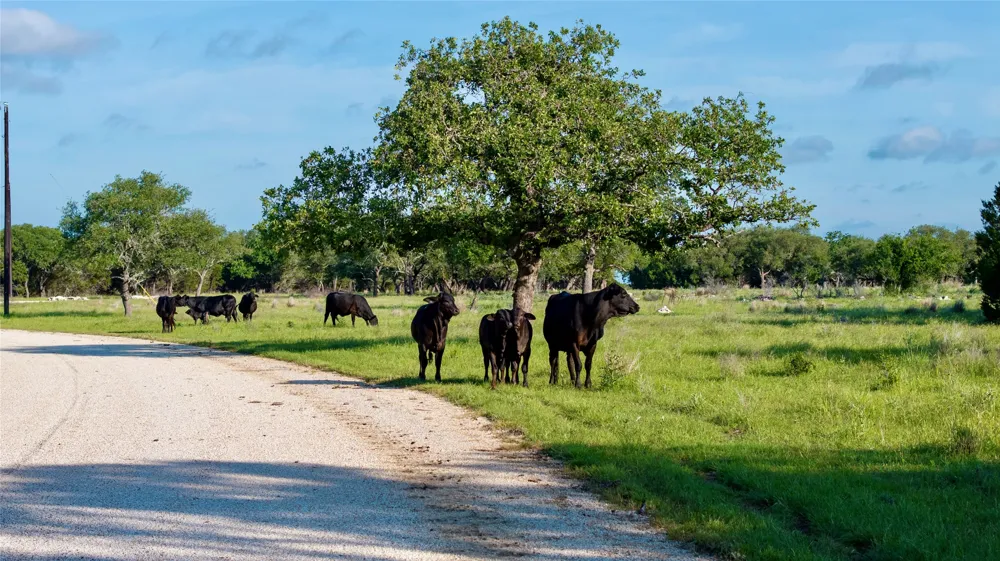 33 Starfall Drive Lampasas, TX 76550