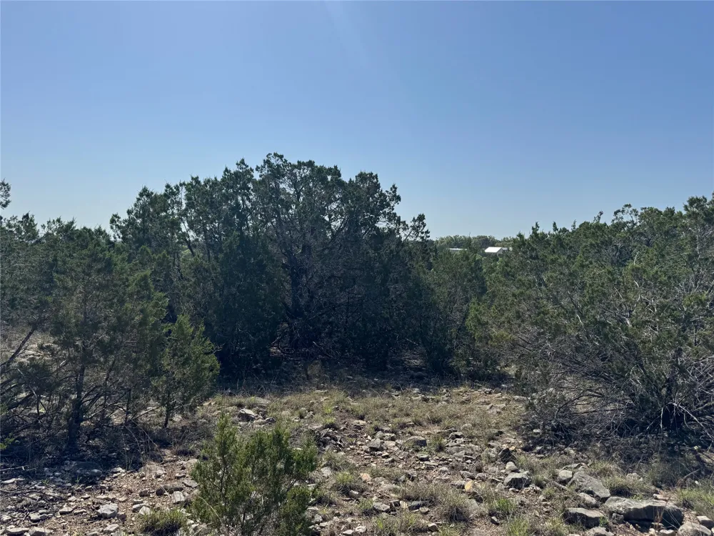 53 Balcones Ridge Way Bertram, TX 78605