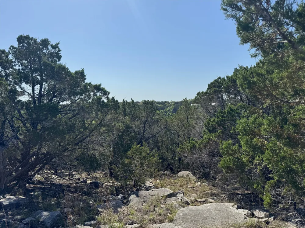 53 Balcones Ridge Way Bertram, TX 78605