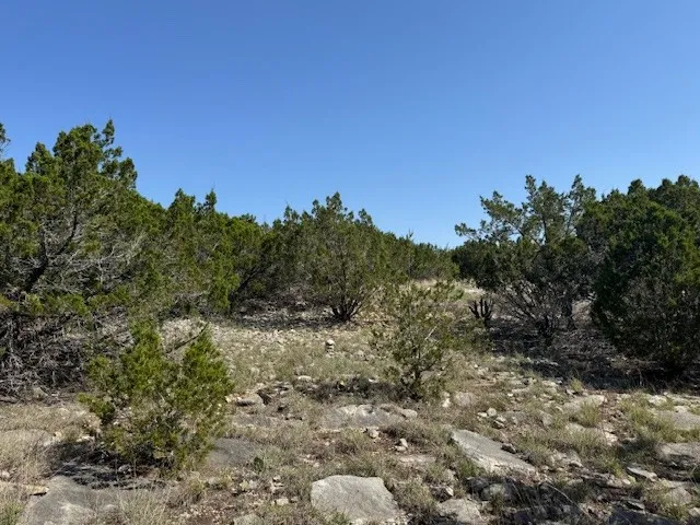 53 Balcones Ridge Way Bertram, TX 78605