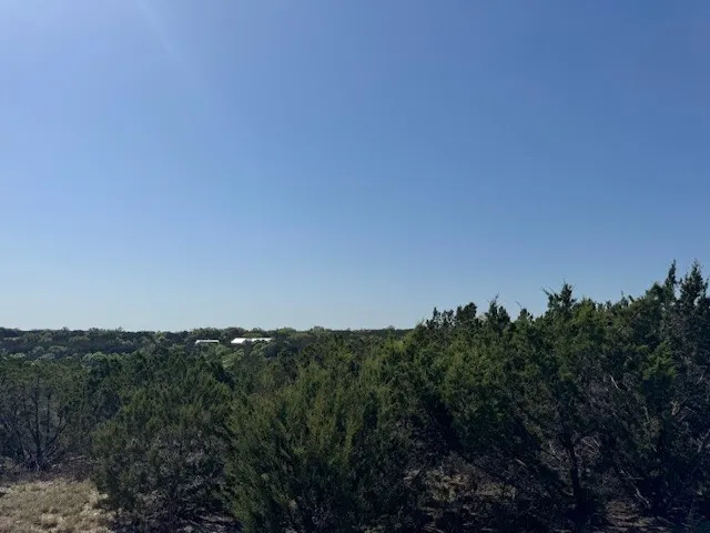 53 Balcones Ridge Way Bertram, TX 78605