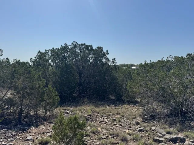 53 Balcones Ridge Way Bertram, TX 78605
