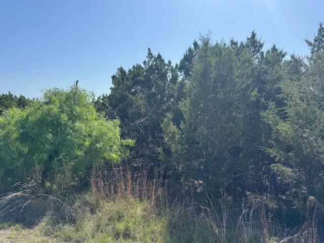 53 Balcones Ridge Way Bertram, TX 78605