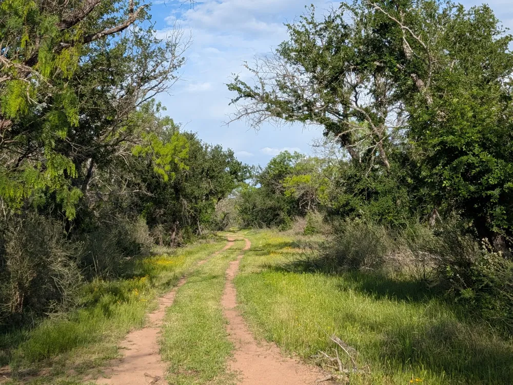FM 1980 Marble Falls, TX 78654