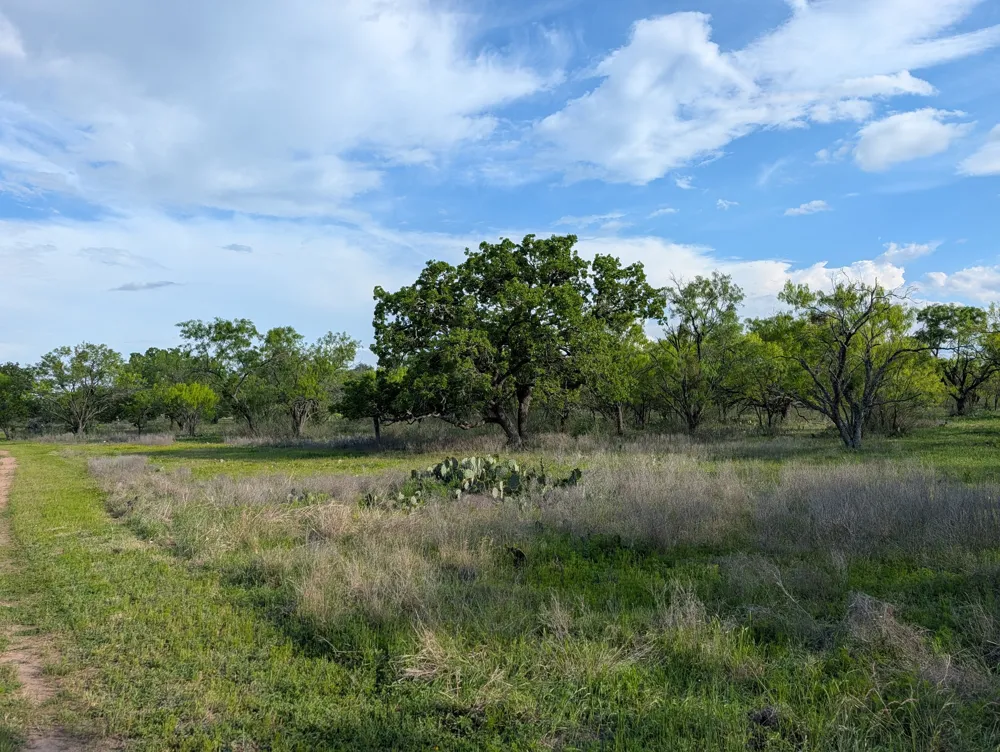 FM 1980 Marble Falls, TX 78654