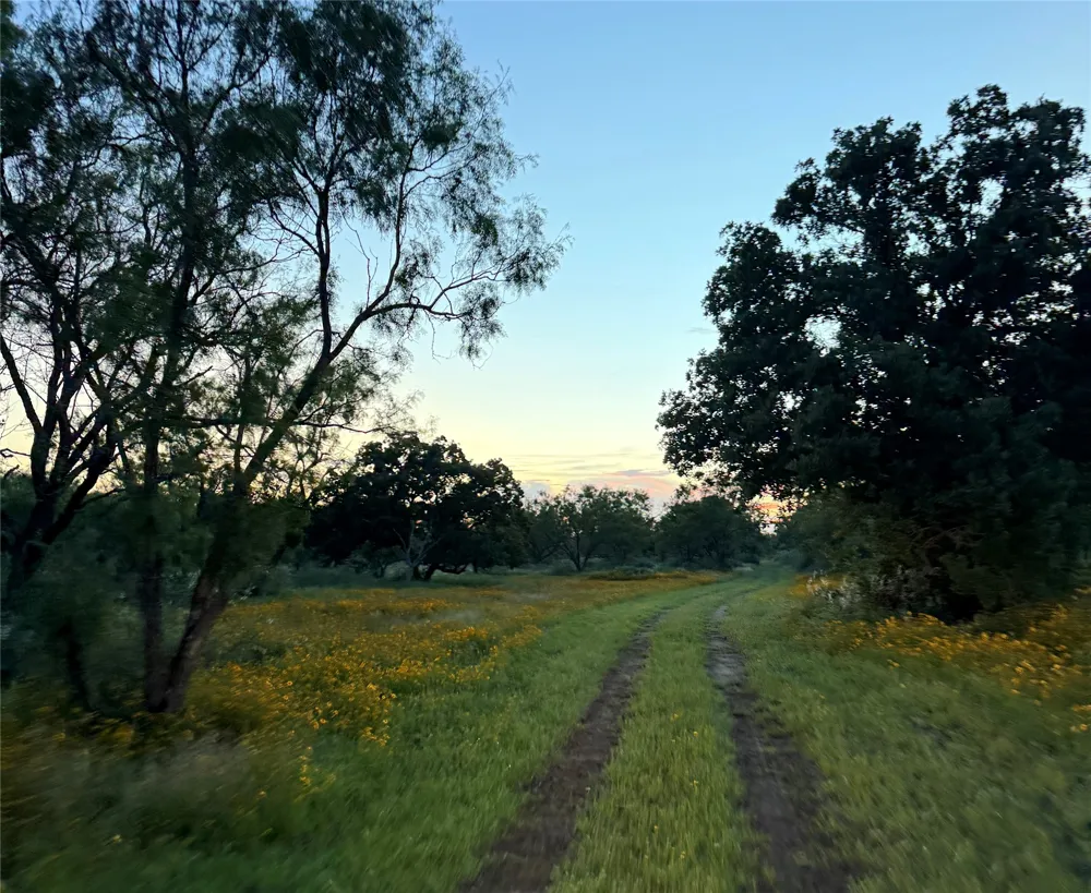 FM 1980 Marble Falls, TX 78654