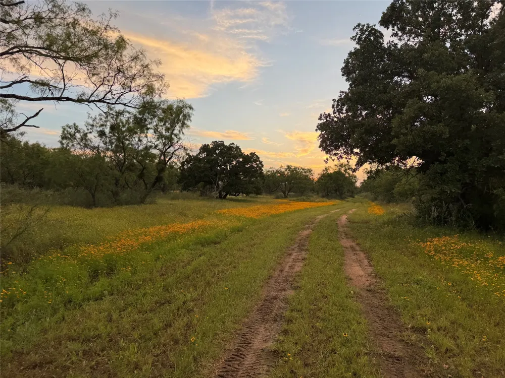 FM 1980 Marble Falls, TX 78654