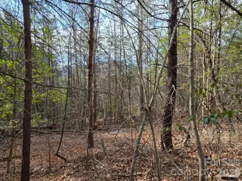 Lot 6 Kerlee Lane